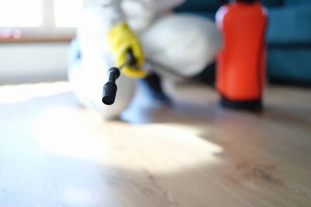 Forensic Mold Investigation in Kenhorst, PA